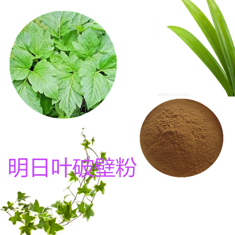 Summer beach concept