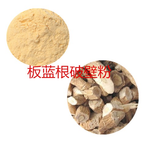 板蓝根粉 板蓝根破壁粉 板蓝根浸膏  板蓝根提取液
