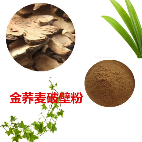 金荞麦粉 金荞麦破壁粉 金荞麦浸膏  金荞麦提取液