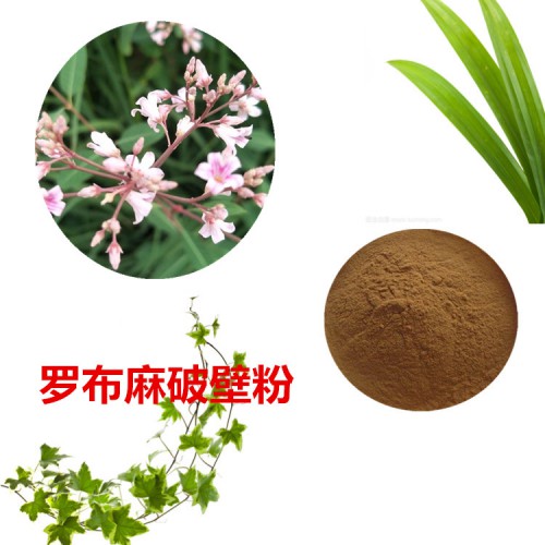 罗布麻粉 罗布麻破壁粉 罗布麻浸膏  罗布麻提取液