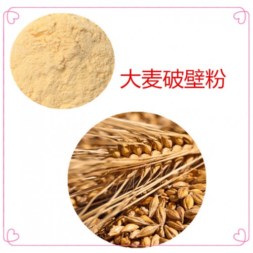 大麦粉 大麦破壁粉 大麦浸膏  大麦提取液