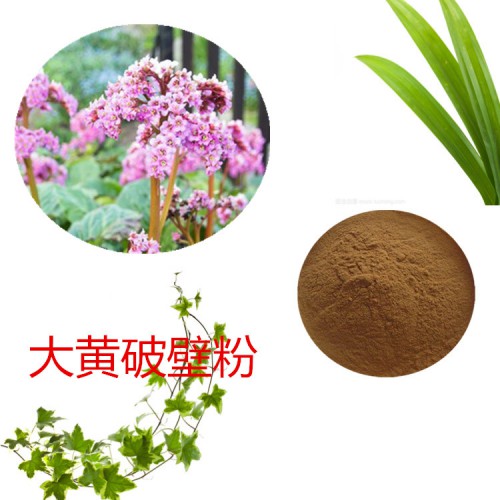 大黄粉 大黄破壁粉 大黄浸膏  大黄提取液