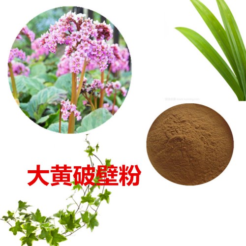 大黄粉 大黄破壁粉 大黄浸膏  大黄提取液