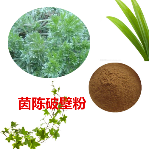 茵陈粉 茵陈破壁粉 茵陈浸膏  茵陈提取液