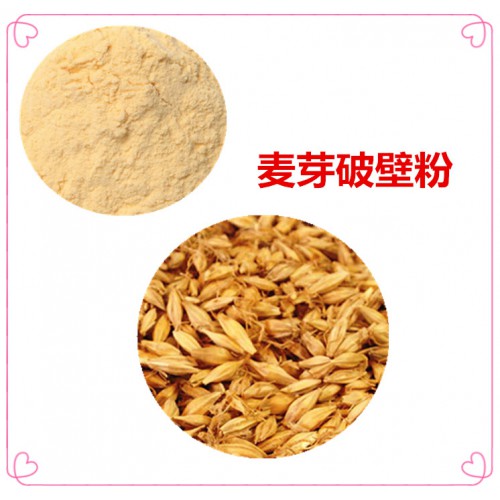 麦芽粉 麦芽破壁粉 麦芽浸膏  麦芽提取液