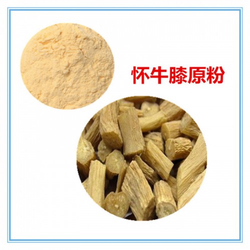 怀牛膝粉 怀牛膝原粉 怀牛膝浸膏 怀牛膝提取液