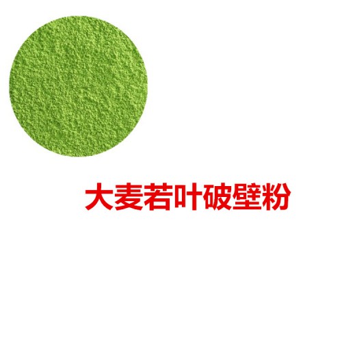 大麦若叶粉 大麦若叶破壁粉 大麦若叶浸膏 大麦若叶提取液