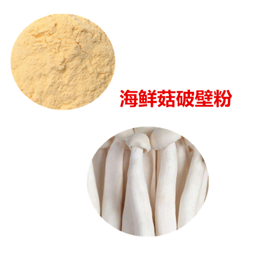 海鲜菇粉 海鲜菇破壁粉 海鲜菇浸膏 海鲜菇提取液