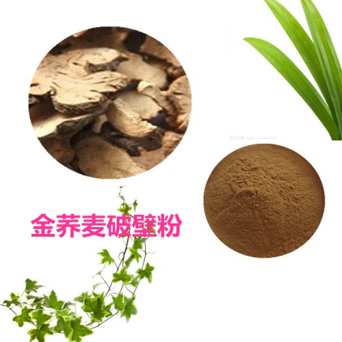 金荞麦粉 金荞麦破壁粉 金荞麦浸膏 金荞麦提取液