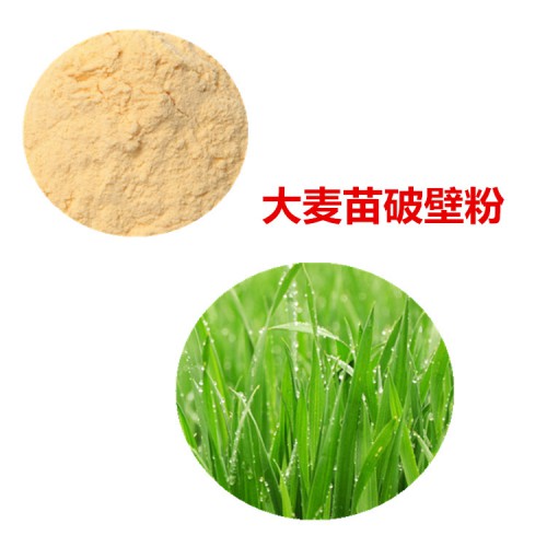 大麦苗粉 大麦苗破壁粉 大麦苗浸膏 大麦苗提取液