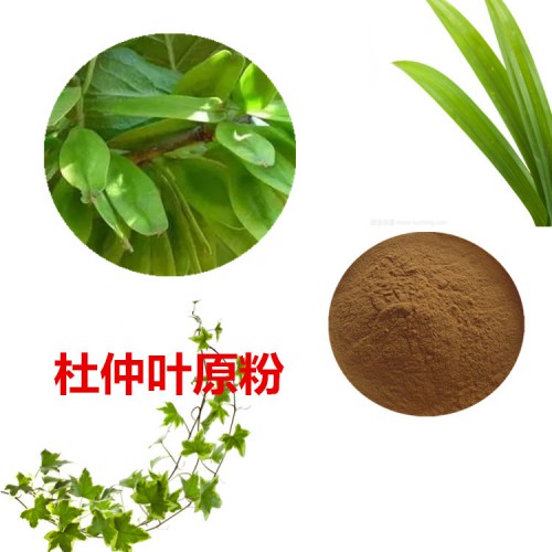 杜仲叶粉 杜仲叶原粉 杜仲叶浸膏 杜仲叶提取液
