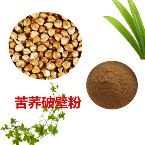 苦荞粉 苦荞破壁粉 苦荞浸膏  苦荞提取液