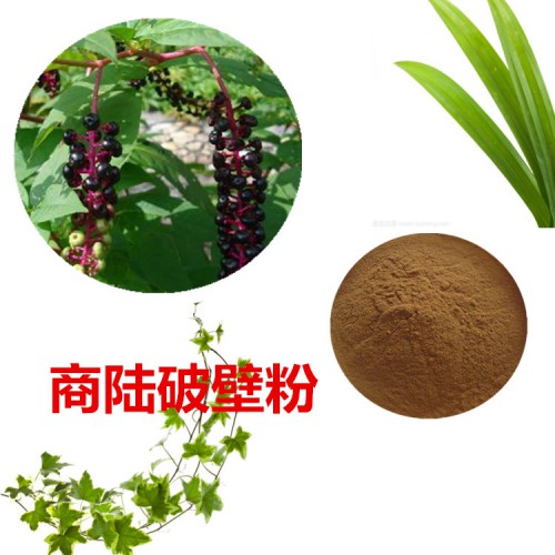 商陆粉 商陆破壁粉 商陆浸膏 商陆提取液