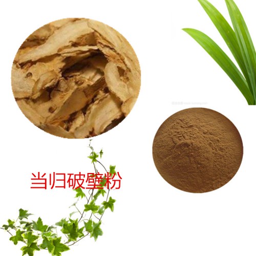 当归粉 当归破壁粉 当归浸膏  当归提取液