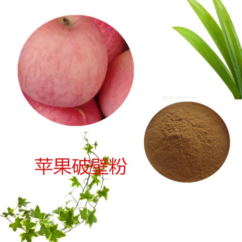 苹果粉 苹果破壁粉 苹果浸膏 苹果提取液