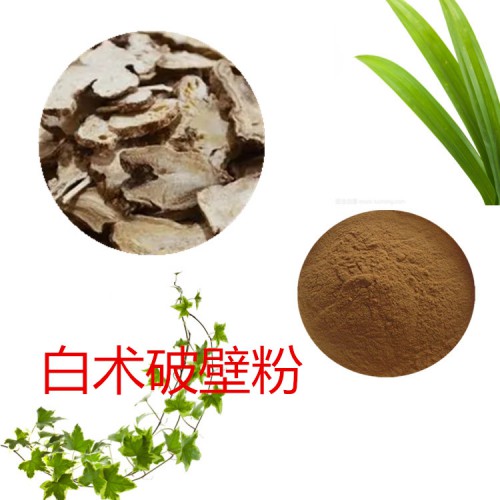 白术粉 白术破壁粉 白术浸膏 白术提取液