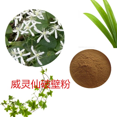 威灵仙粉 威灵仙破壁粉 威灵仙浸膏 威灵仙提取液