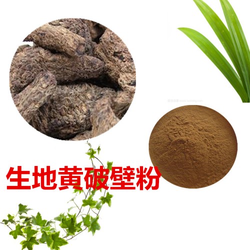 生地黄粉 生地黄破壁粉 生地黄浸膏   生地黄提取液