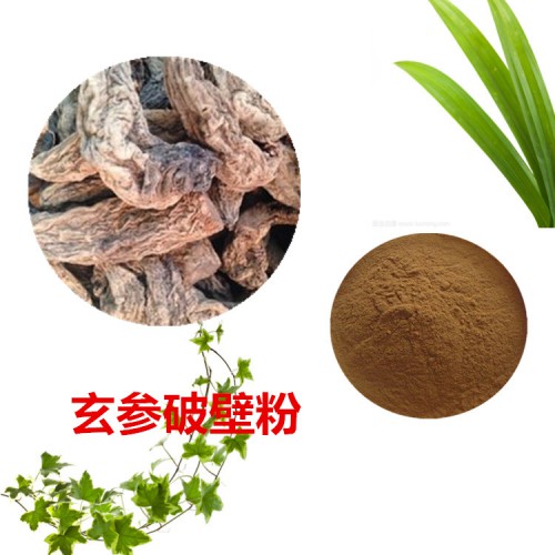 玄参粉 玄参破壁粉 玄参浸膏  玄参提取液