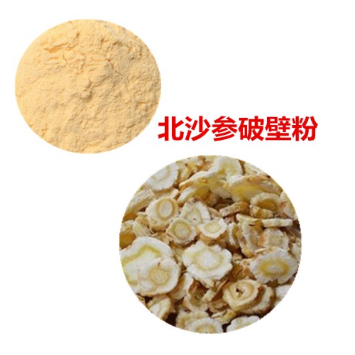 北沙参粉 北沙参破壁粉 北沙参浸膏  北沙参提取液