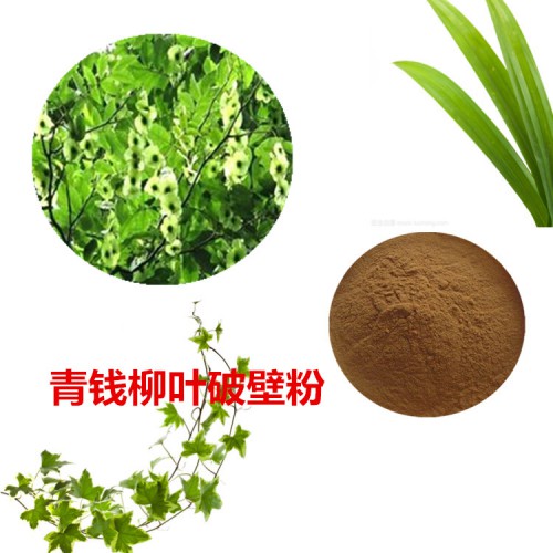 北沙参粉 北沙参破壁粉 北沙参浸膏  北沙参提取液