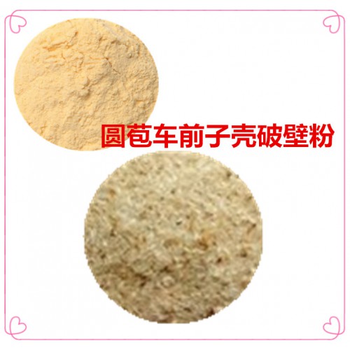 圆苞车前子壳粉 圆苞车前子壳破壁粉 圆苞车前子壳浸膏