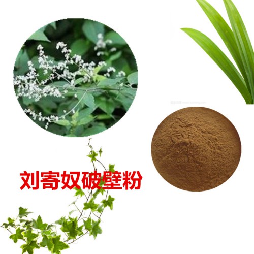 刘寄奴粉  刘寄奴破壁粉 刘寄奴浸膏 刘寄奴提取液