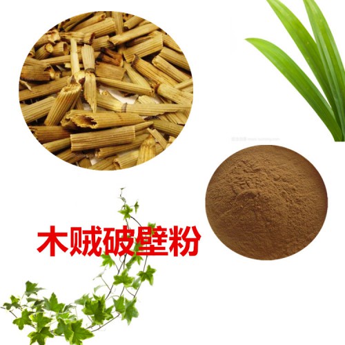 木贼粉  木贼破壁粉  木贼浸膏 木贼提取液