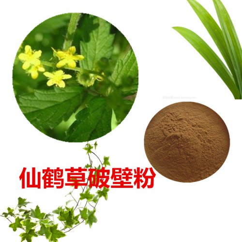 仙鹤草粉  仙鹤草破壁粉  仙鹤草浸膏 仙鹤草提取液
