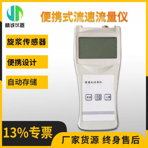 LS-300A型便携式流速流量仪