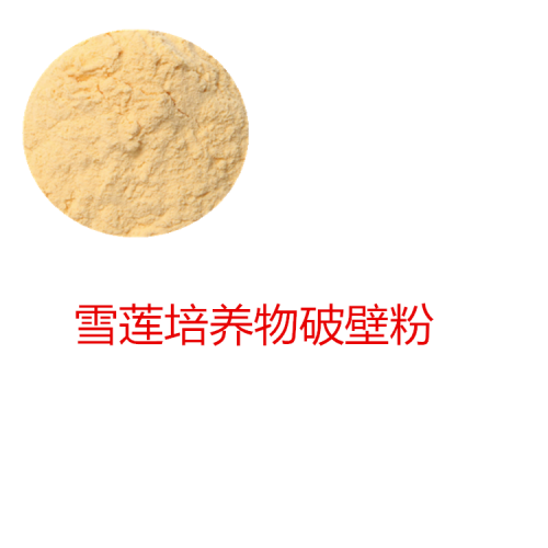 雪莲培养物粉 雪莲培养物破壁粉 雪莲培养物
