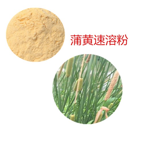 蒲黄速溶粉 蒲黄速提取物  蒲黄浸膏 蒲黄皂甙