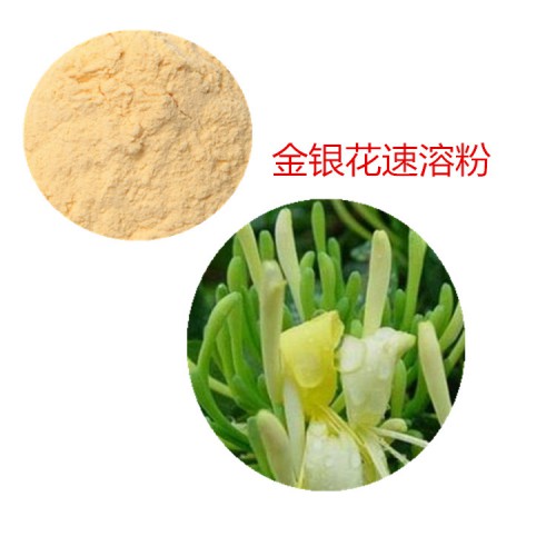 金银花速溶粉 金银花速提取物  金银花浸膏 金银花浸膏粉