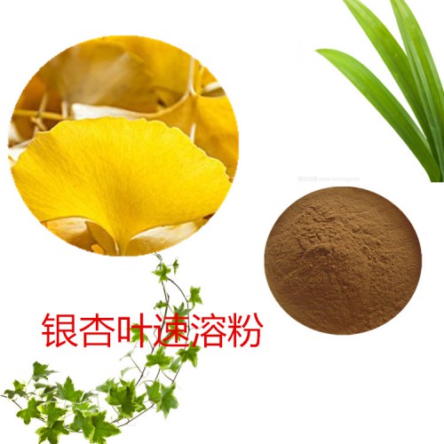 银杏叶速溶粉 银杏叶速提取物  银杏叶浸膏 银杏叶浸膏粉