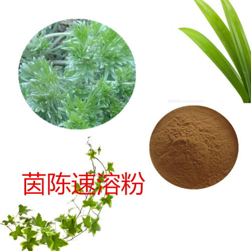 茵陈速溶粉 茵陈速提取物 茵陈浸膏 茵陈浸膏粉