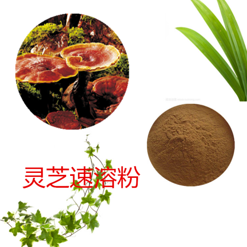 灵芝速溶粉 灵芝速提取物 灵芝浸膏 灵芝浸膏粉