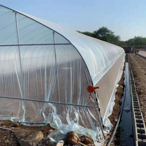 大棚定制加工 小型菜棚 种花大棚 安装大棚施工队