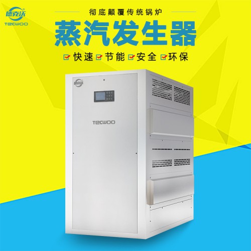 燃气式蒸汽发生器 蒸汽发生器厂家 燃气节能蒸汽发生器