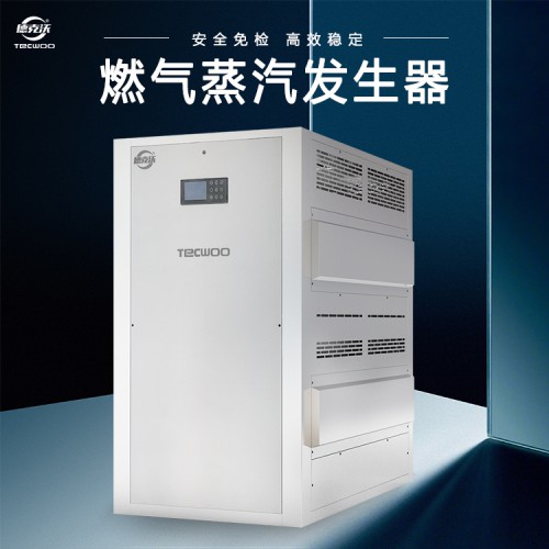 工业燃气蒸汽发生器 全自动燃气蒸汽锅炉 燃气蒸汽发生器哪家好