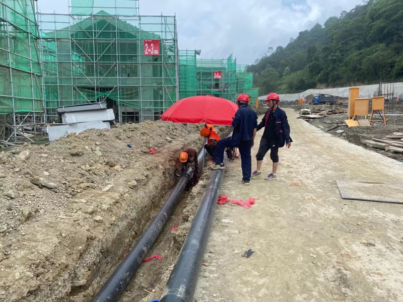 Summer beach concept