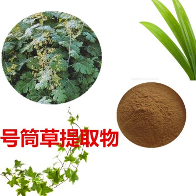 号筒草速溶粉号筒草提取物 号筒草浸膏 号筒草浸膏粉