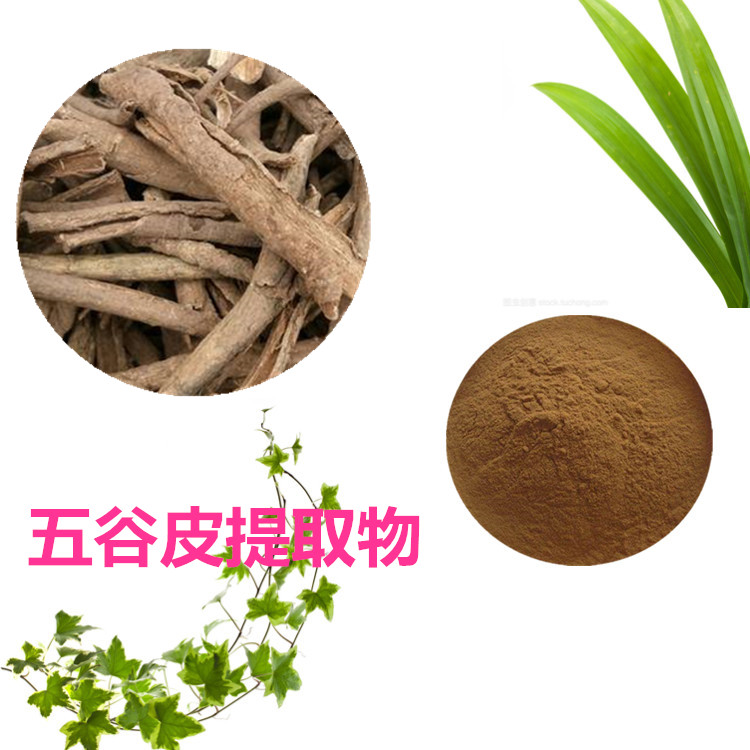 Summer beach concept