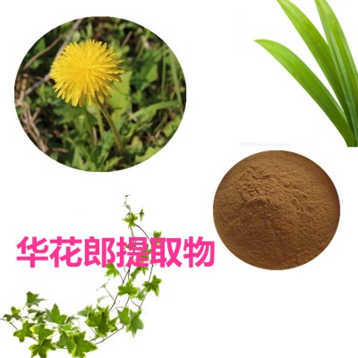 华花郎速溶粉 华花郎提取物 华花郎浸膏 华花郎浸膏粉