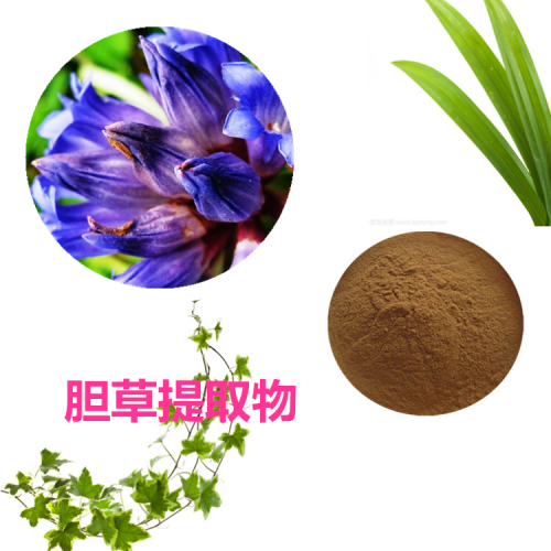 胆草速溶粉 胆草提取物  胆草浸膏 胆草浸膏粉
