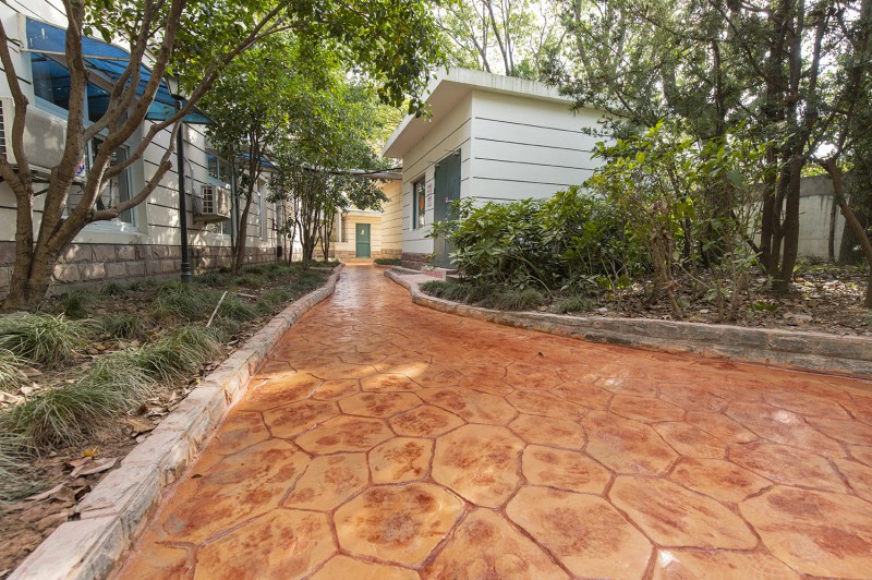 Summer beach concept