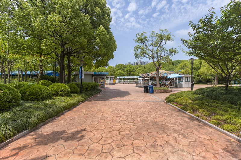 Summer beach concept