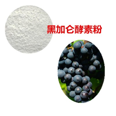 黑加仑酵素粉  黑加仑膳食纤维    黑加仑提取物