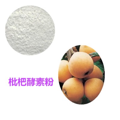 枇杷酵素粉 枇杷膳食纤维 枇杷粉  枇杷提取物