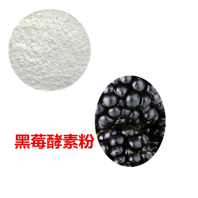 黑莓酵素粉  黑莓膳食纤维 黑莓粉 黑莓提取物