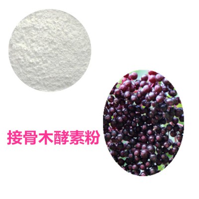 接骨木酵素粉  接骨木膳食纤维 接骨木粉 接骨木提取物